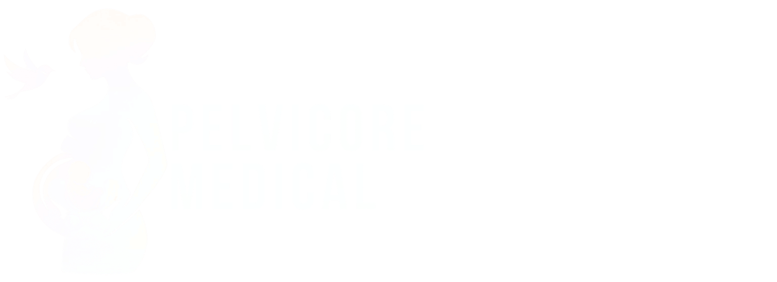 pelvicoremedical.com